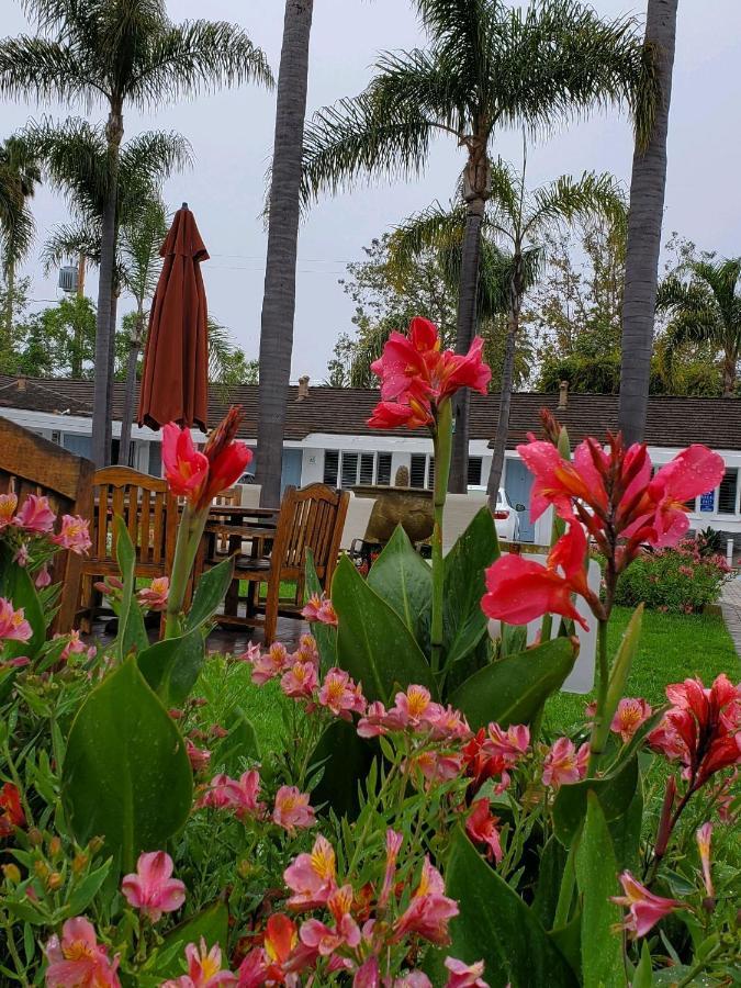 Marina Beach Motel سانتا باربارا المظهر الخارجي الصورة